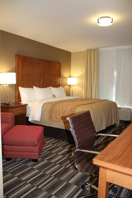 Standard King Room