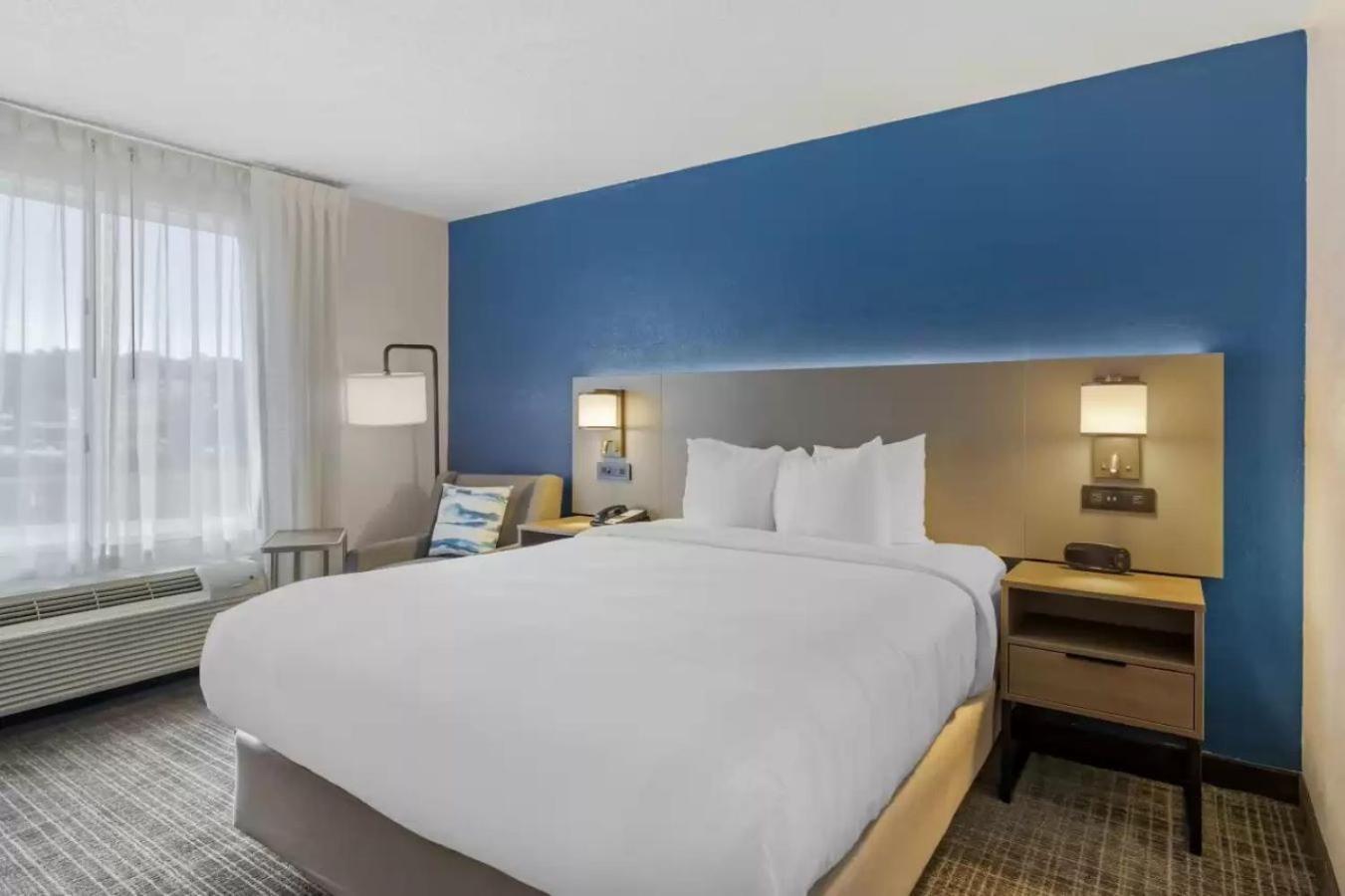 Queen Room - Non Smoking,1646913443:JPEG