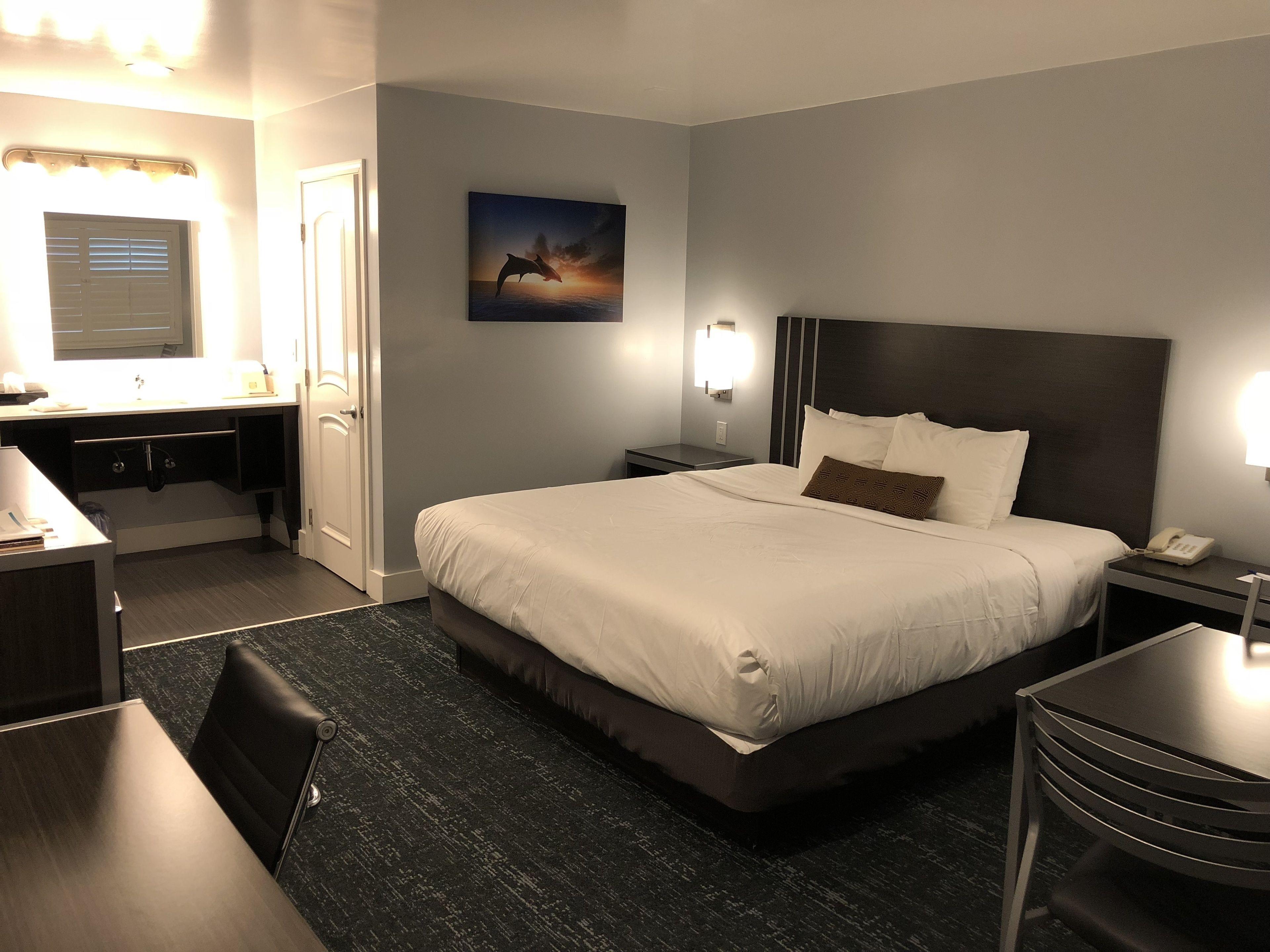 King Room,1705688327:JPEG