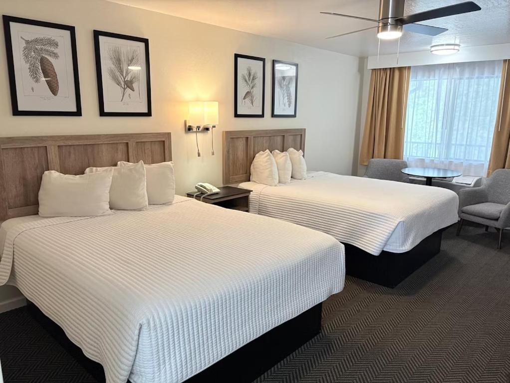 Quadruple Room with Balcony
