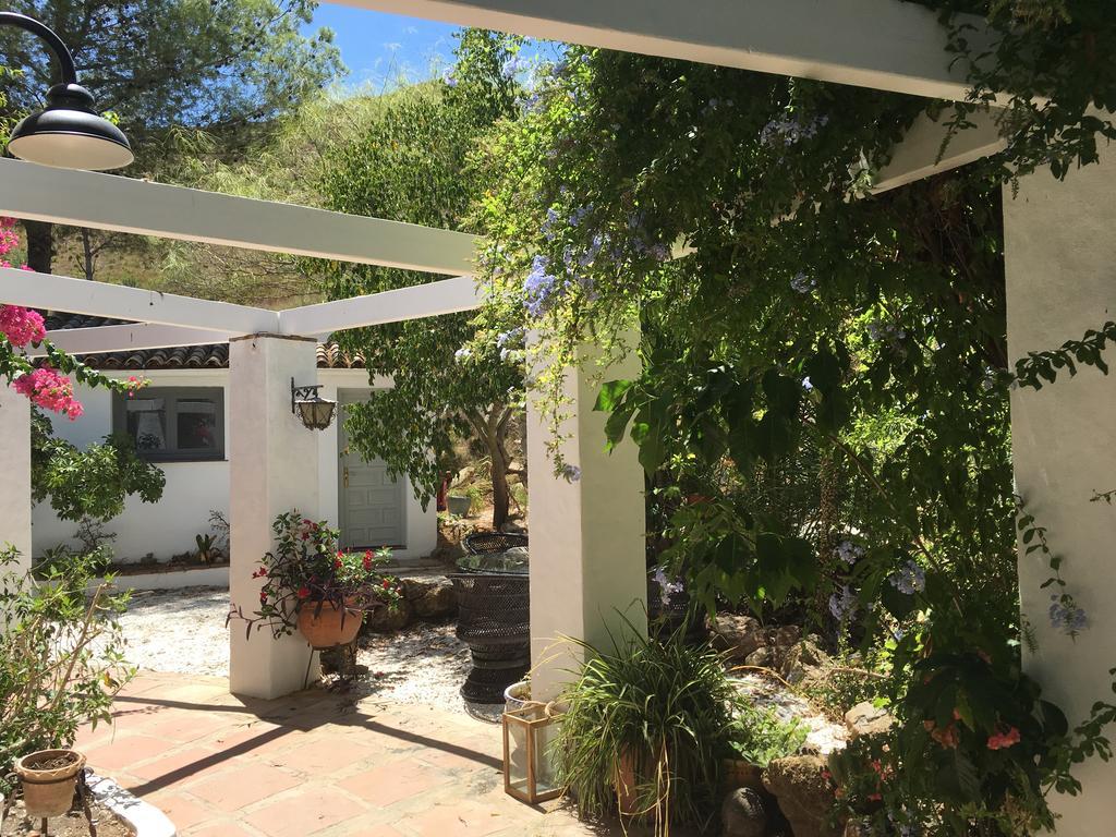 Estudio con terraza