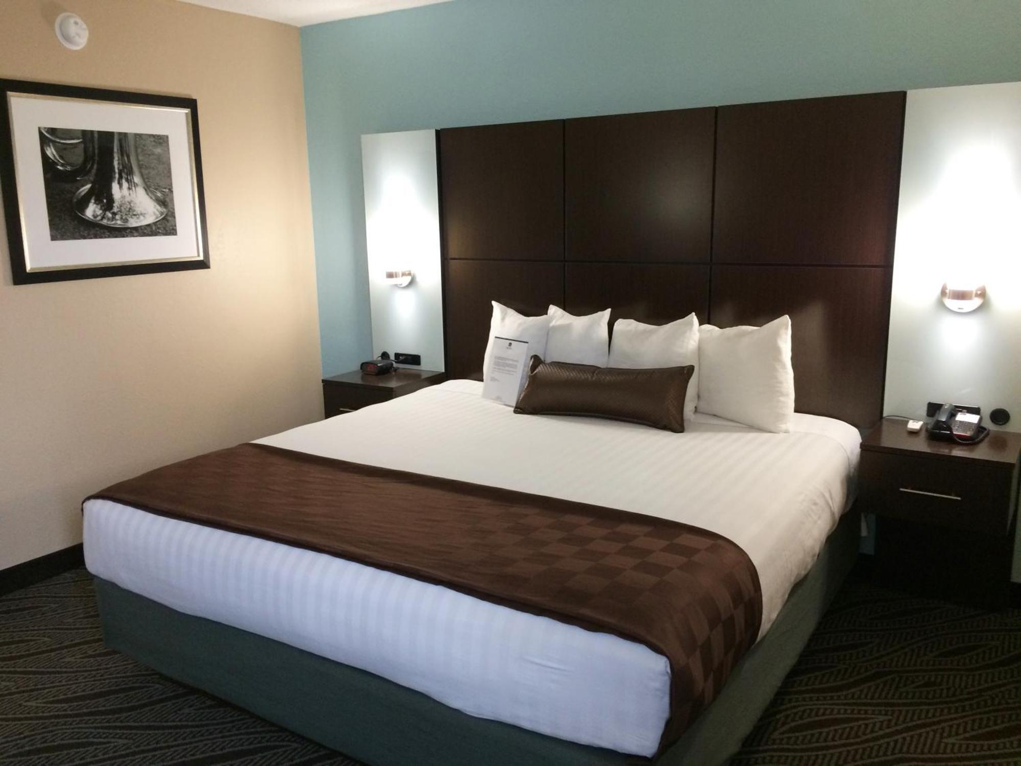 King Room with Roll-In Shower - Mobility Access