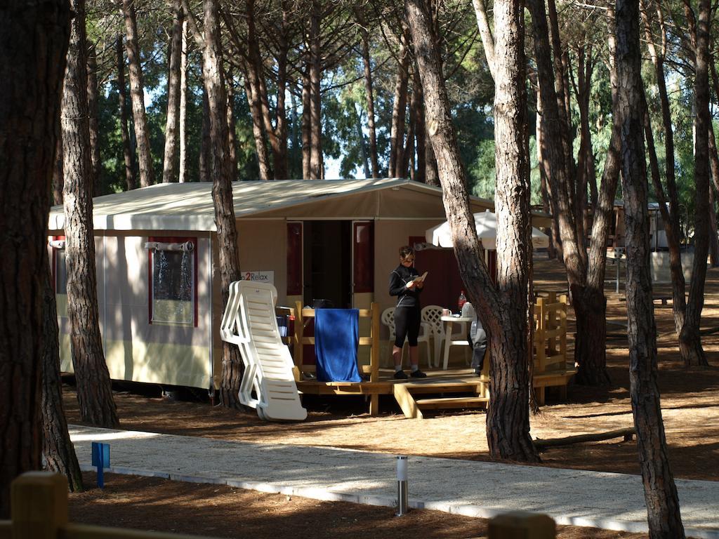 Lodge tent