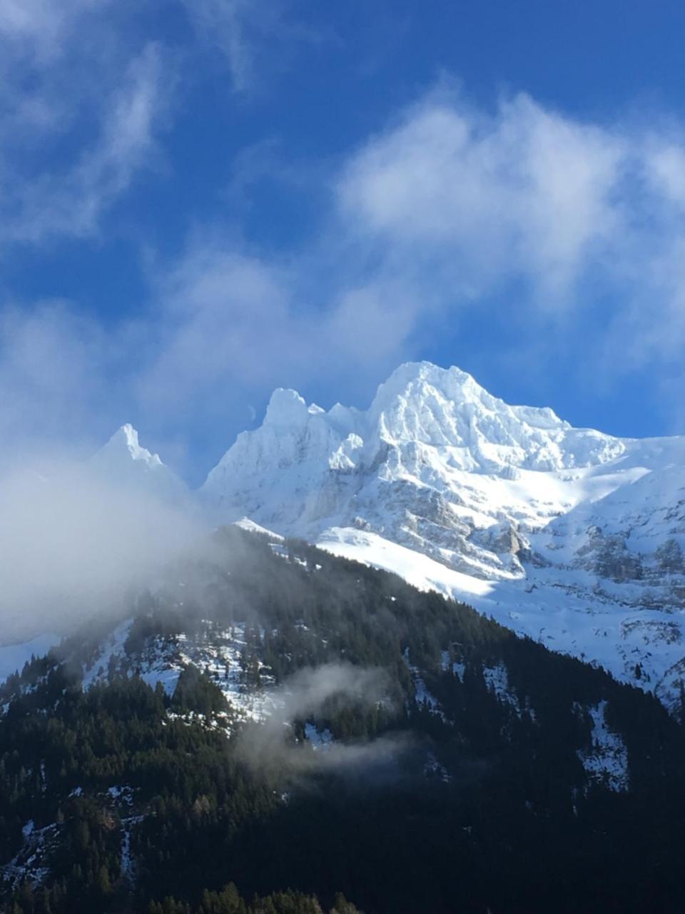 Chambre Exécutive - Vue sur Montagne