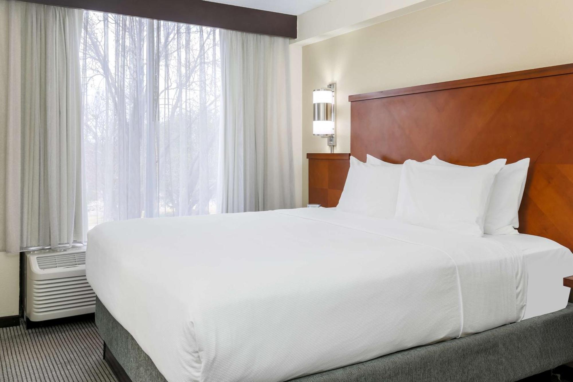 King Room with Sofa Bed - High Floor,1279236259:JPEG