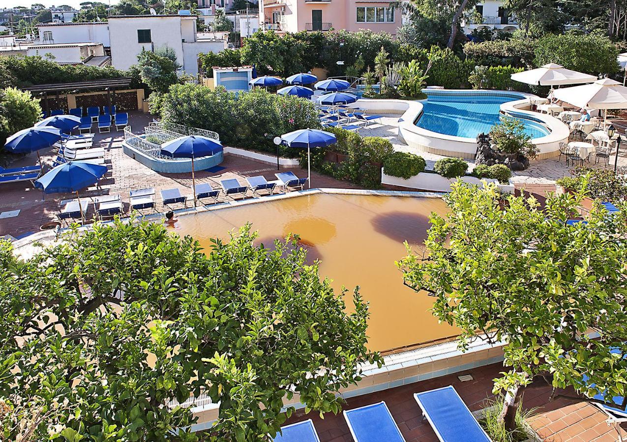 Single Room with Pool View
