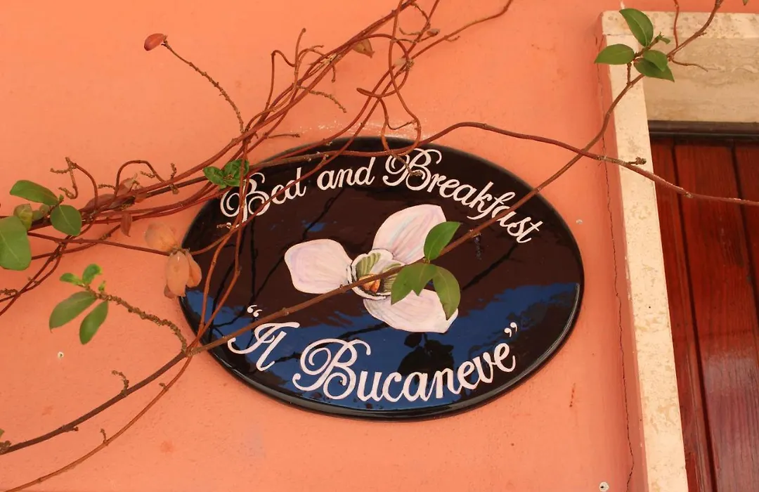 B&B Il Bucaneve-1