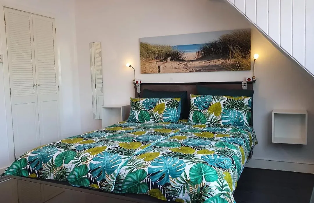 Guesthouse Zandvoort-1