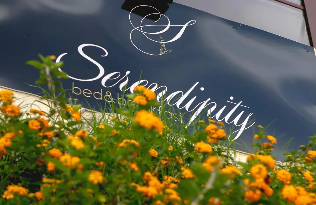 Serendipity B&B-1