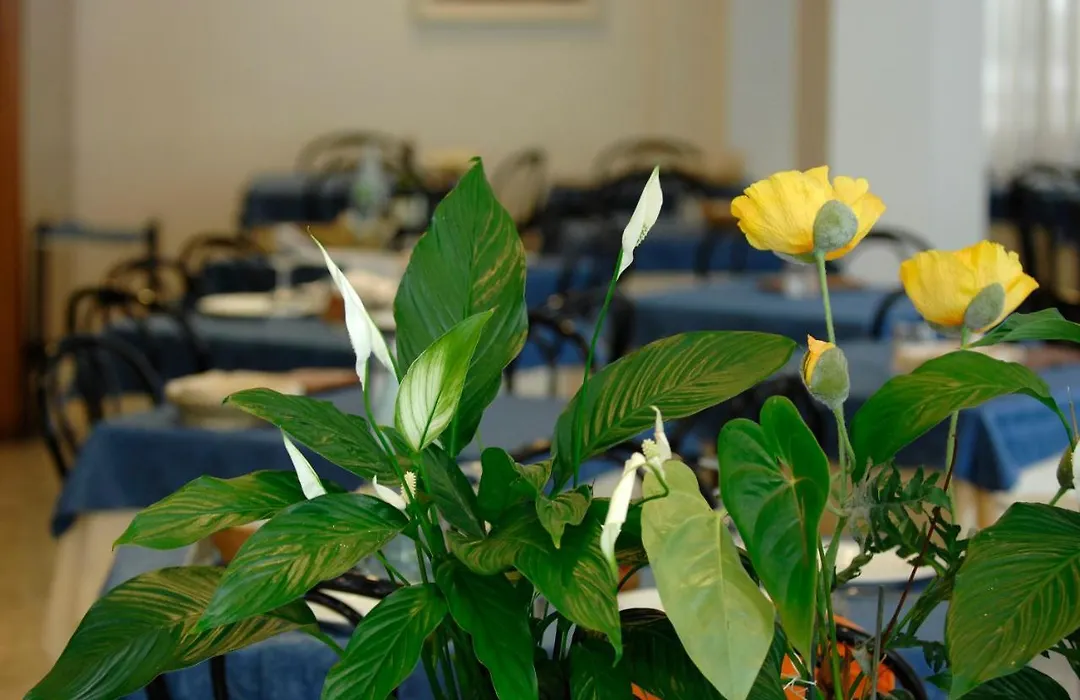 Hotel Sorriso-1