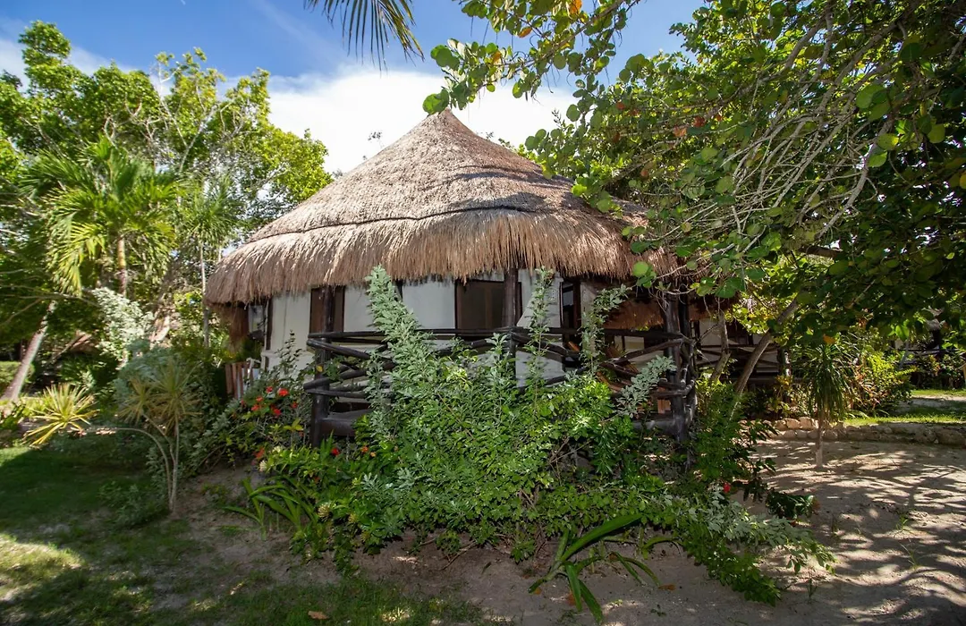 Blue Holbox-1