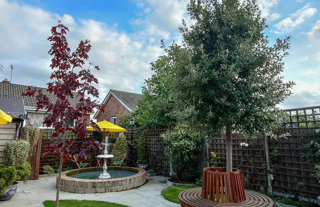 Black Horse Canterbury-1