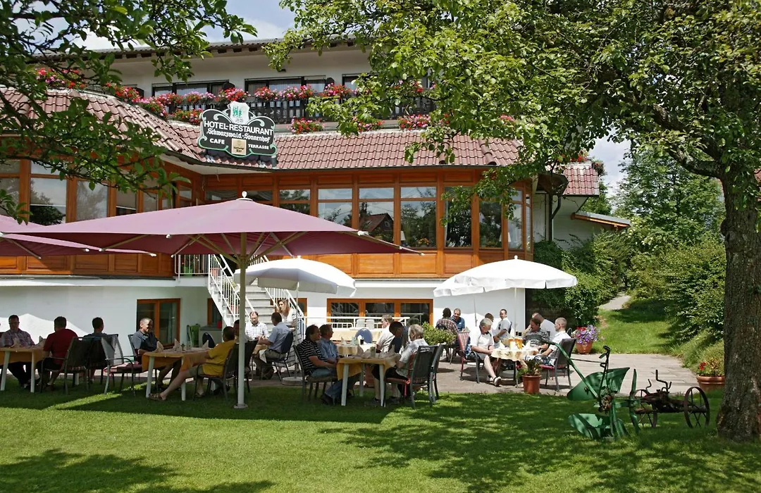 Schwarzwald Sonnenhof-1