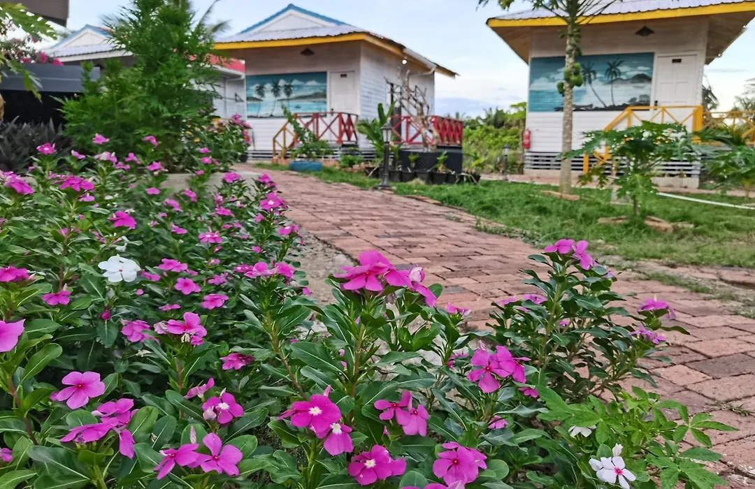 Coconut Garden Resort仙本那顺德人家棕榈园-1