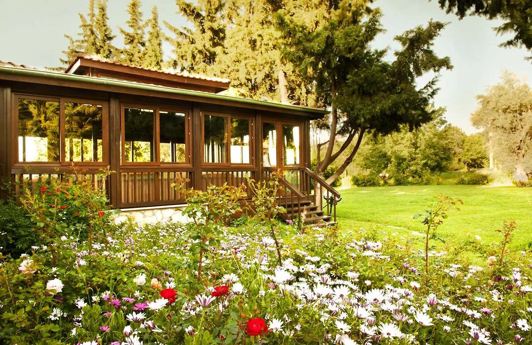 Naturmed Thermal Springs And Health Center-1