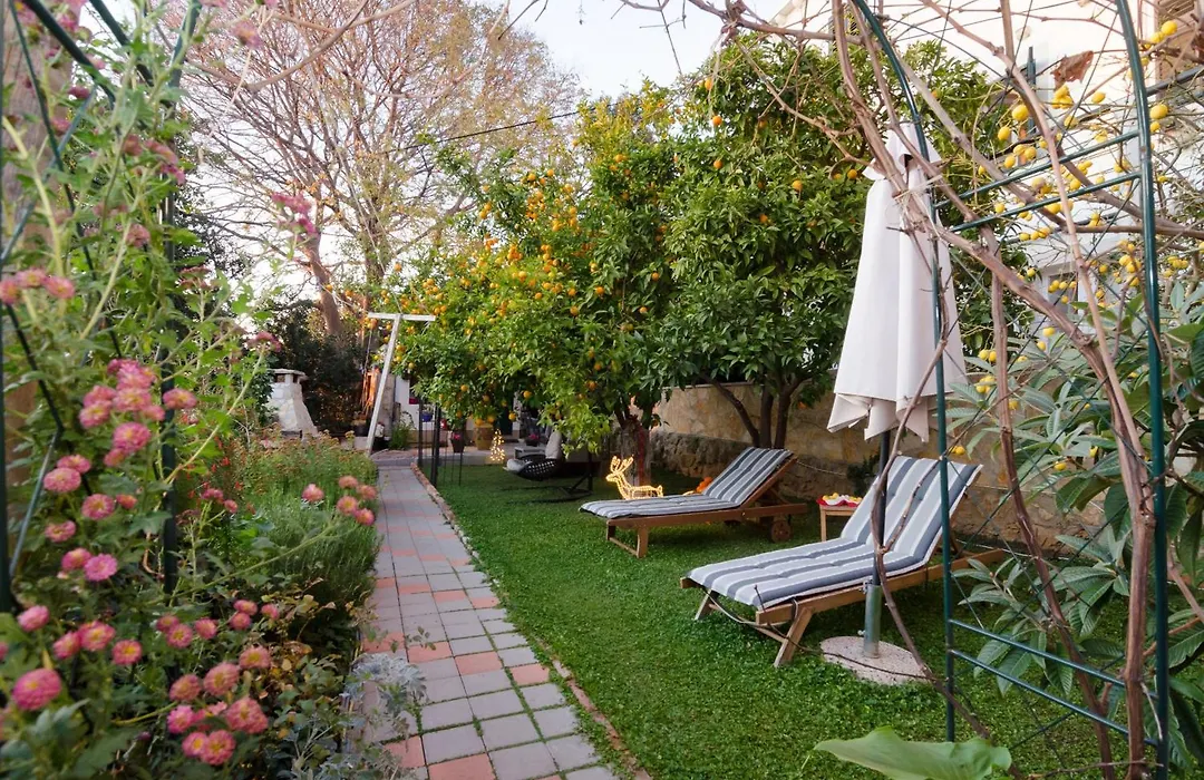B&B Villa Dubrovnik Garden-1