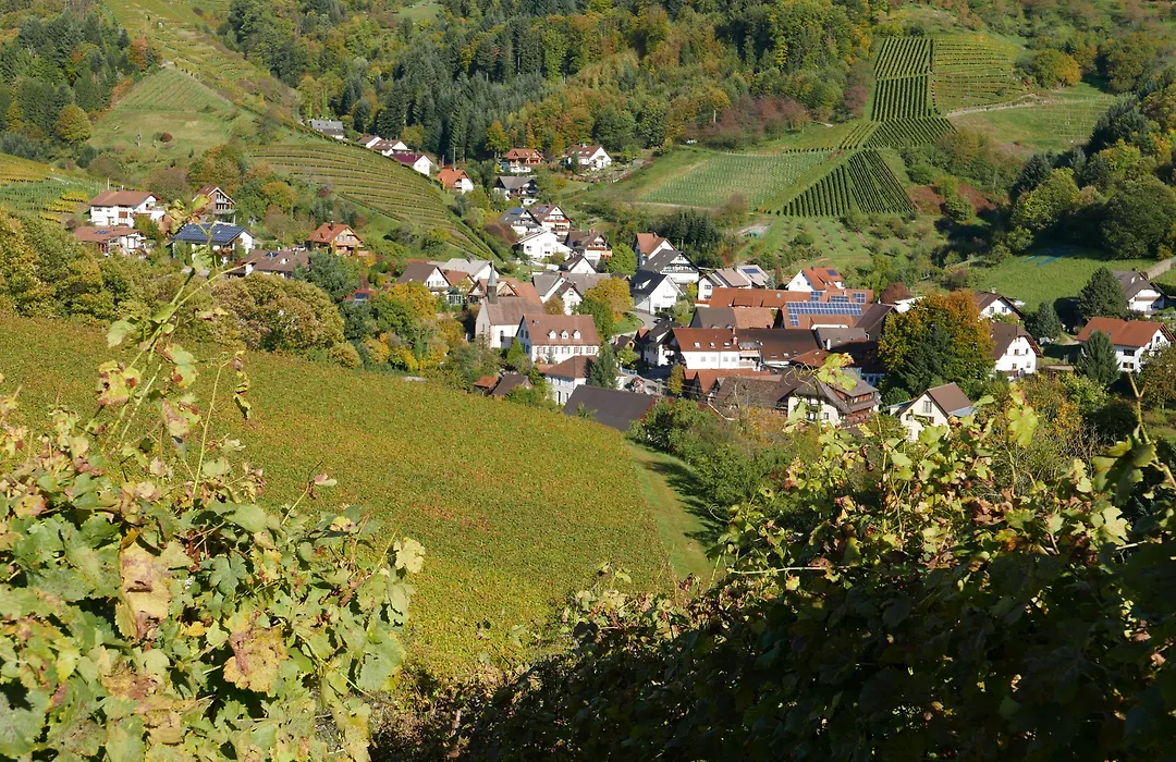 Landhotel Salmen-1