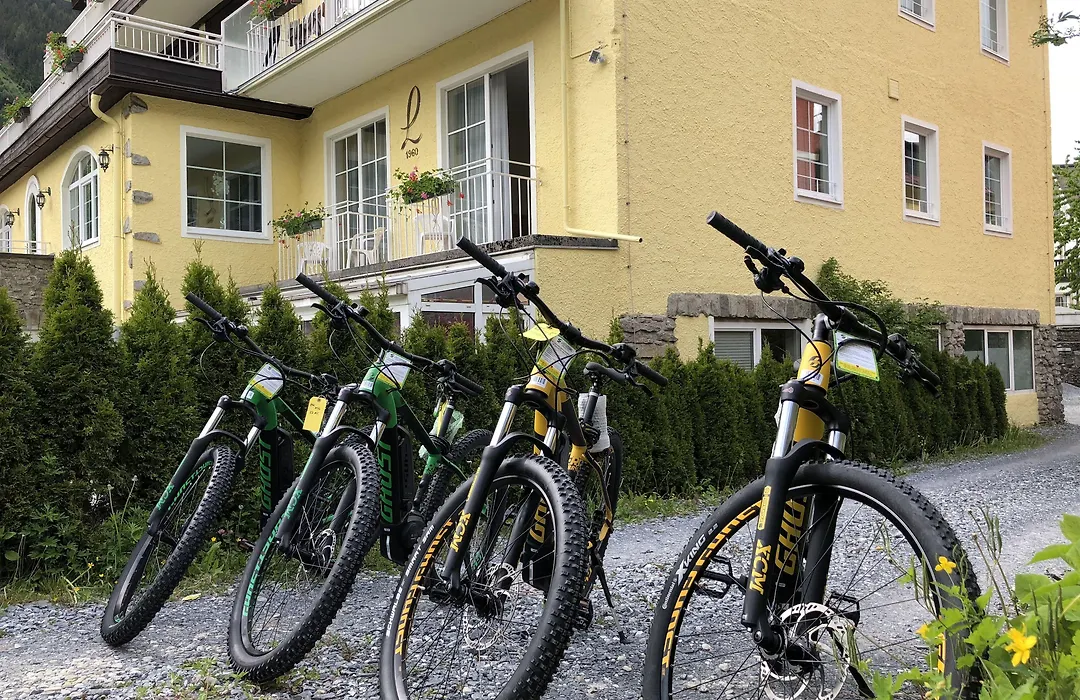 Hotel Lindenhof-1