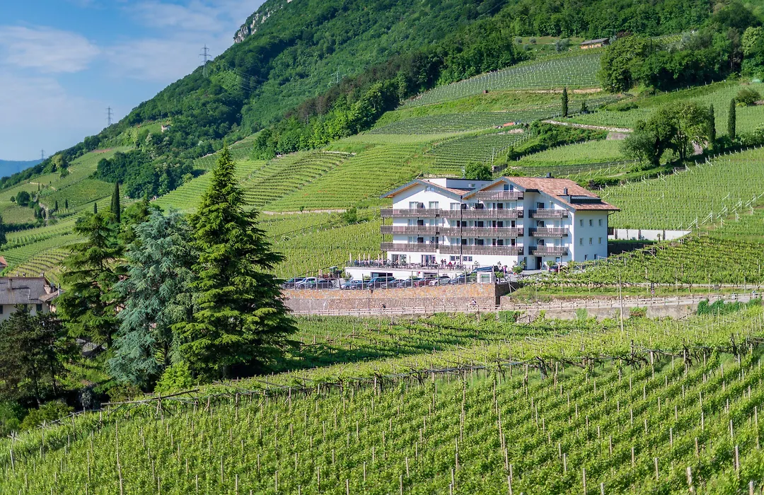 Residence Garni Hotel Vineus-1