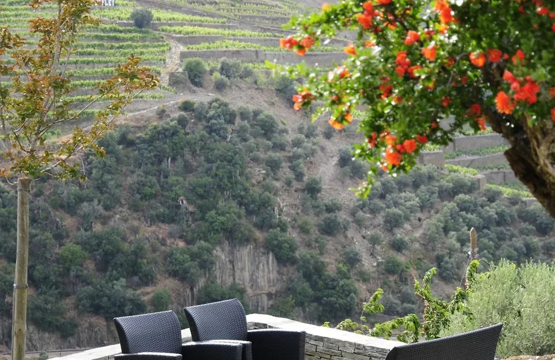 Hotel Rural Quinta Do Pego-1