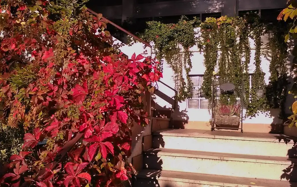 Hotel Ristorante Sole-1