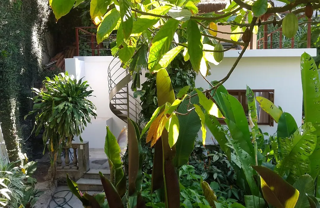 Casa Beleza-1