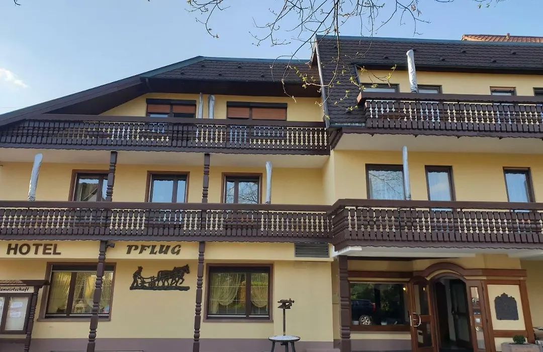 Ringhotel Garni Pflug-1