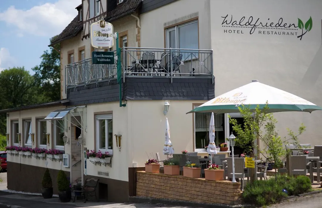 Hotel Waldfrieden-1