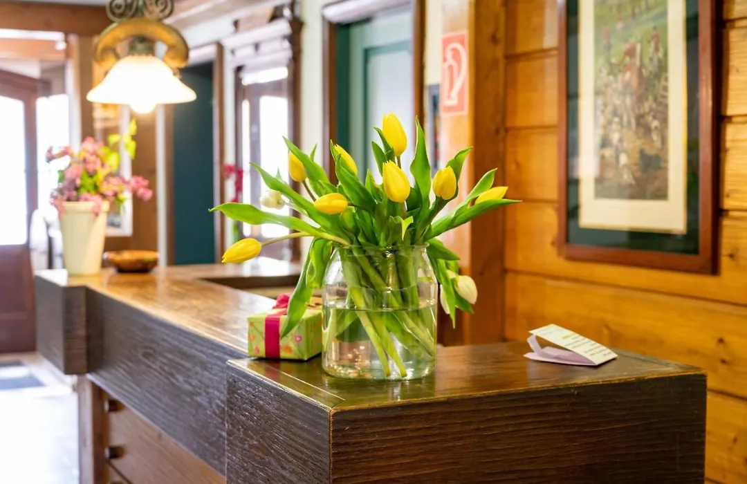 Hotel Krone Laupheim-1