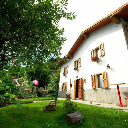 B&B La Tana Dei Ricci-3