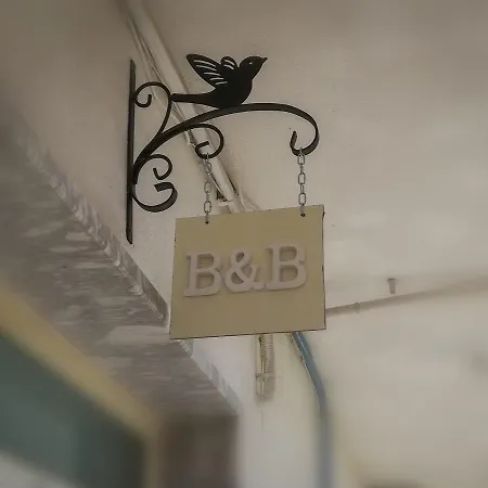 B&B Collemare-3