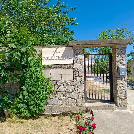 B&B Collemare-2