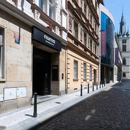 Numa Prague Root-2