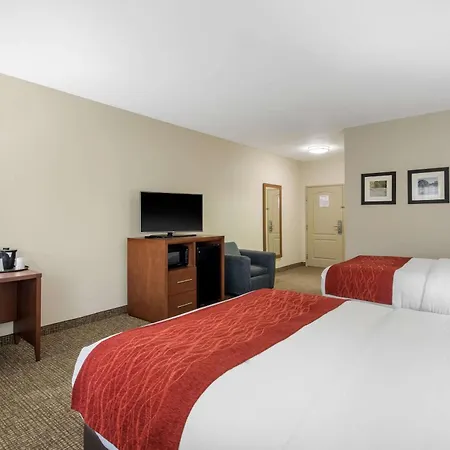 Comfort Inn & Suites Cedar Hill Duncanville-2