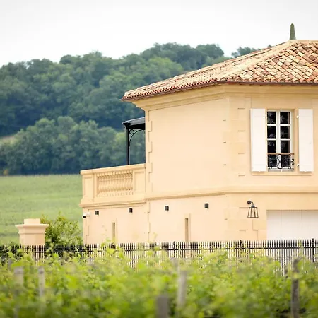 Petit Monlot - Saint-Emilion-2