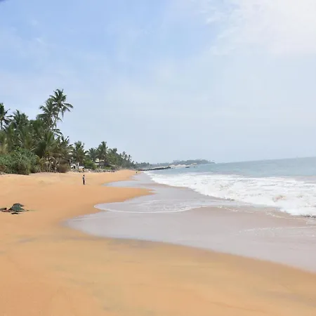 Arrow Beach Resort-2