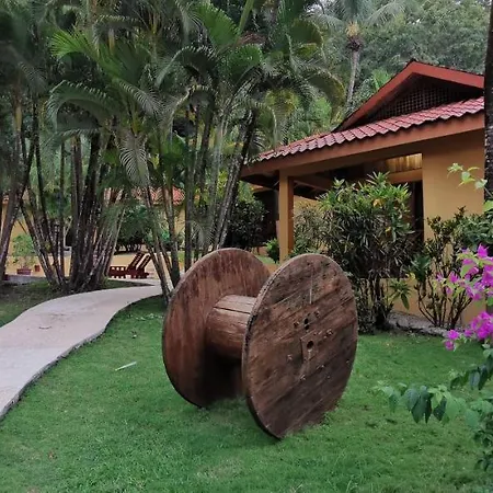 Hotel Ritmo Tropical - Pool And Breakfast-3