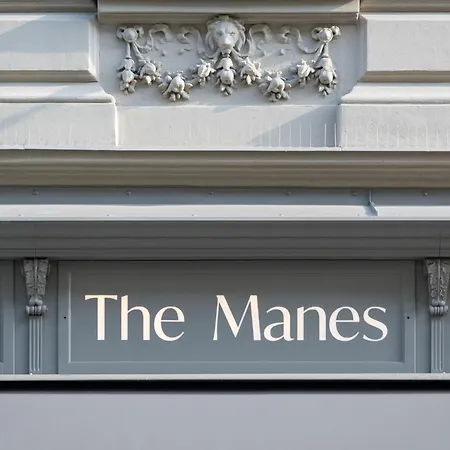 The Manes Boutique Hotel Prague-3