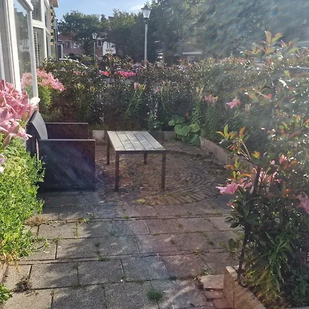 Guesthouse Zandvoort-2
