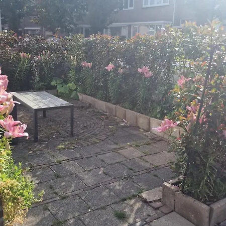 Guesthouse Zandvoort-3