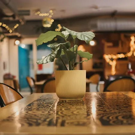 Le Flaneur Guesthouse-3