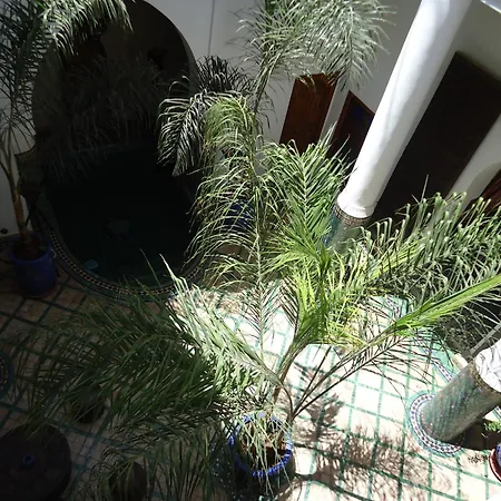 Riad Tahar Oasis-3