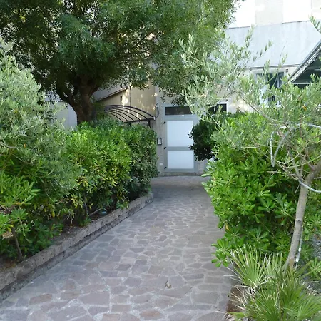 Hotel Zeus Lido di Classe-3