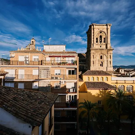 Toc Hostel Granada-3