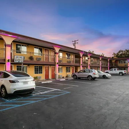 Sky Palm Motel - Orange-2