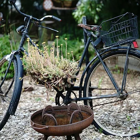Usedom Bike Hotel & Suites-2