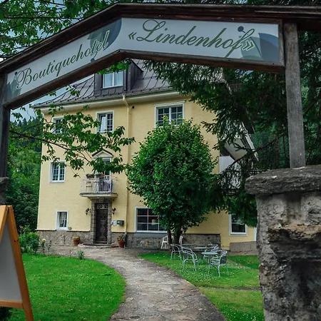 Hotel Lindenhof-2