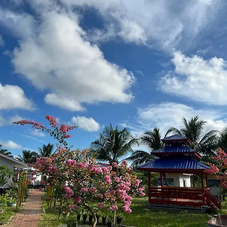 Coconut Garden Resort仙本那顺德人家棕榈园-2