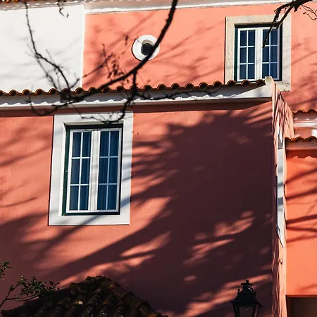 Jardim Da Lapa By Shiadu-2