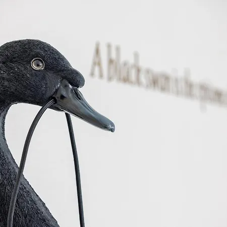 The Black Swan Hotel-2